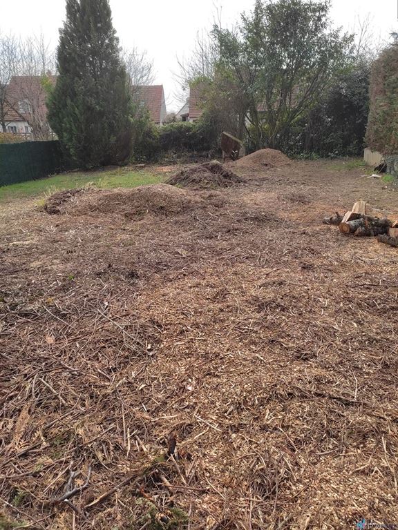 Terrain COMPANS 155000€ IPA IMMOBILIER Terrain COMPANS 155000€ IPA IMMOBILIER
